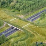 Groene-woud-A2-Green-bridge