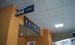 SONY DSC