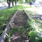 Leito ferroviário abandonado em direção à Bongaba