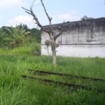 Leito ferroviário abandonado em direção à Bongaba