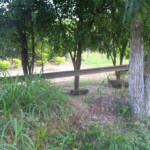 Leito ferroviário abandonado em direção à Bongaba