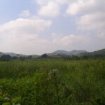 Isolamento na ferrovia