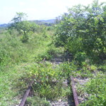 Trilhos chegando à Bongaba