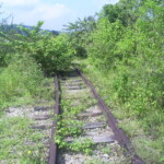 Trilhos chegando à Bongaba