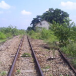 SAMSUNG DIGIMAX A503