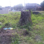 Chegando à estação Guia de Pacobaíba, o antigo girador de locomotivas