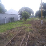 Trilhos próximos à Guia de Pacaobíba