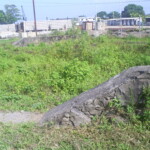 Girador de locomotivas