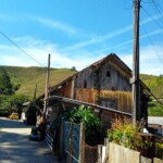 Estação Pedro Carlos