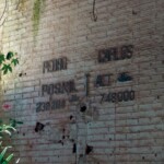 Informações na Estação Pedro Carlos