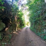Antigo leito ferroviário, hoje uma estrada de terra