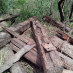 Como um potencial turístico poderá ser explorado assim?