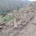 Como um potencial turístico poderá ser explorado assim?