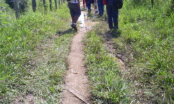 Trilho enterrado em trecho da EF Mauá antes da Parada Calafate. Imagem: Daddo Moreira/AF Trilhos do Rio em 2010